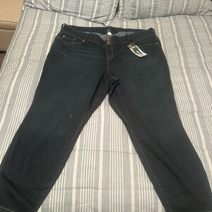 Torrid plus size Women's skinny Jeans